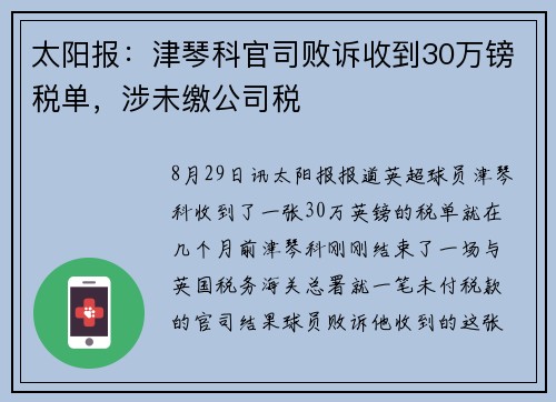 太阳报：津琴科官司败诉收到30万镑税单，涉未缴公司税